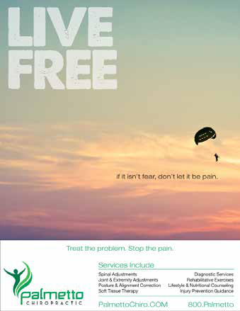 Palmetto Live Free campaign — hiker on a ridge